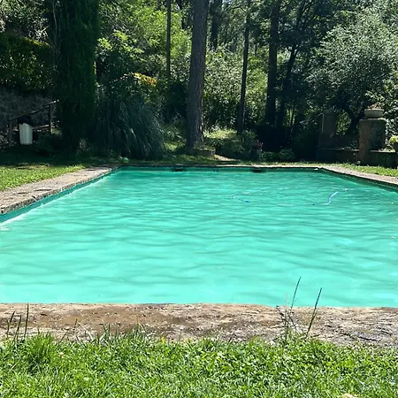 Loft Al Mig Del Bosc *
